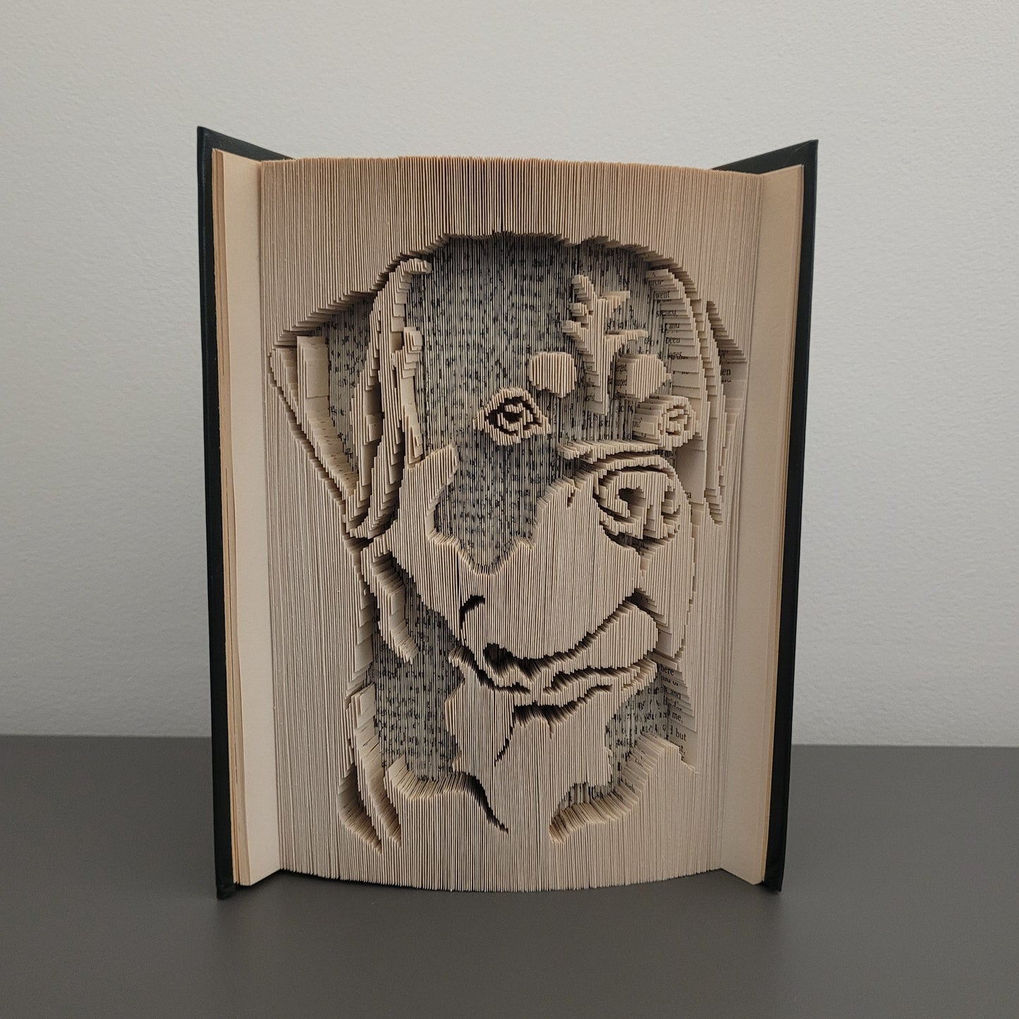 A picture of a Rottweiler Book Fold