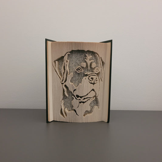 A picture of a book fold with a Rottweiler on the front.