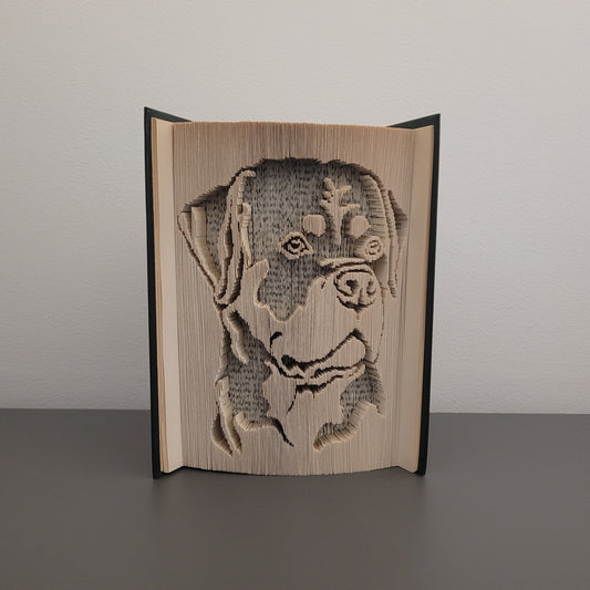 A picture of a book fold with a Rottweiler on the front.