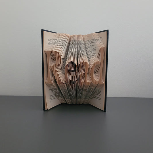 A book fold with the word "Read" on the front