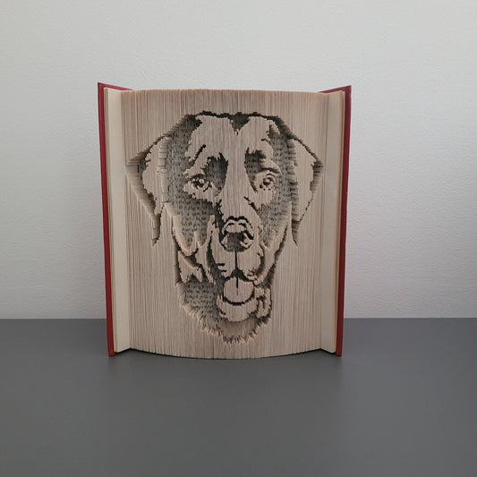 A picture of a book fold with a Labradors head on the front.