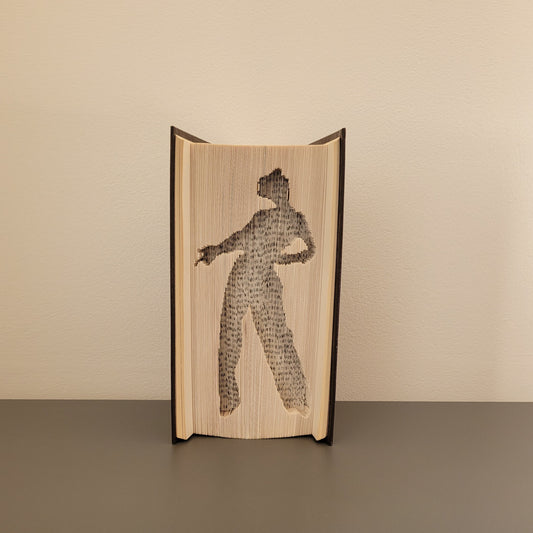 A book fold with a silhouette of Harry Styles on the front