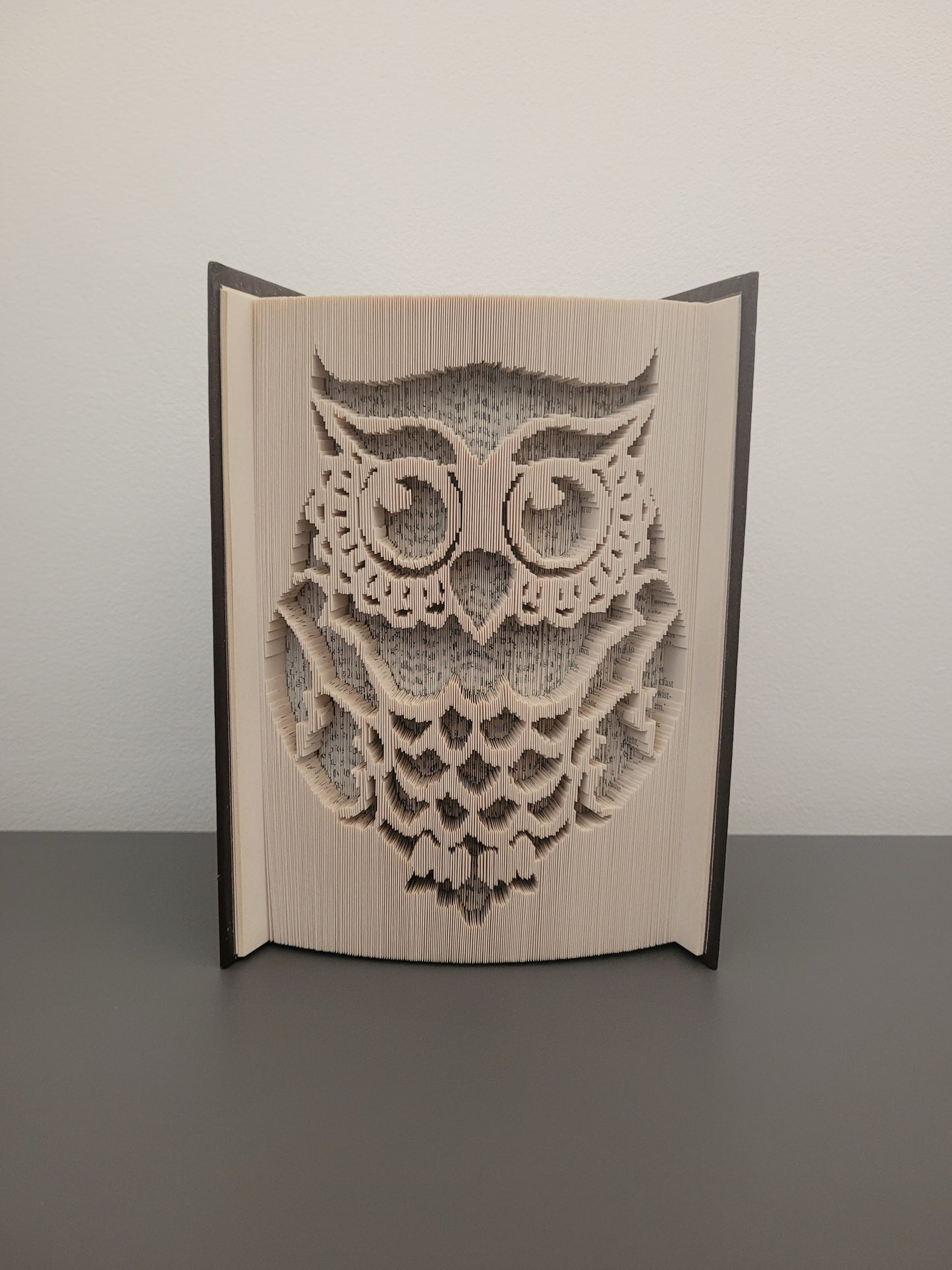 Owl Book Fold