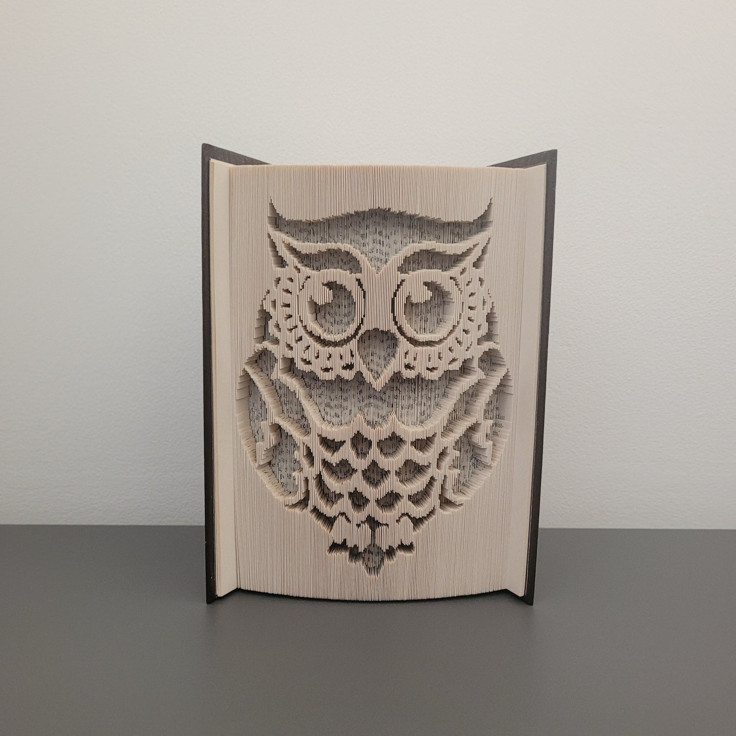 A picture of a book fold with an Owl on.