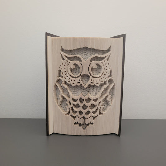 A picture of a book fold with an Owl on.
