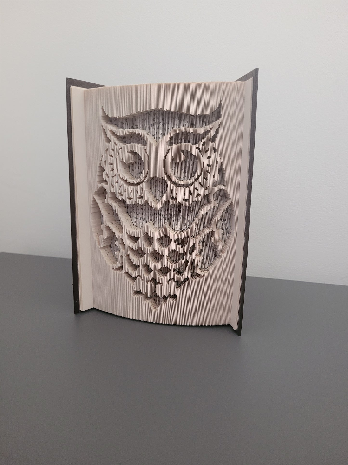 Owl Book Fold