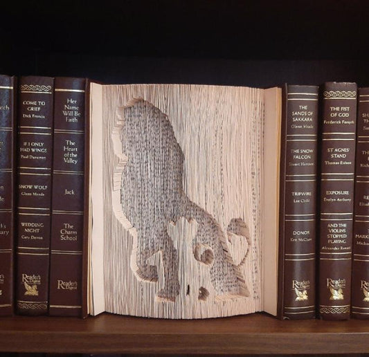 A book fold with a picture of the Lion King on the front.