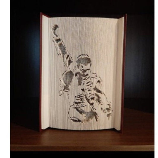 A picture of the book fold, with Freddie Mercury with his fist in the air on the front.